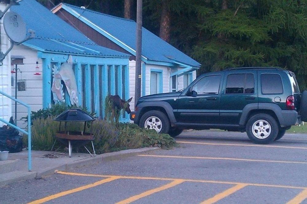 Little River Motel Saint Regis St. Regis Екстериор снимка
